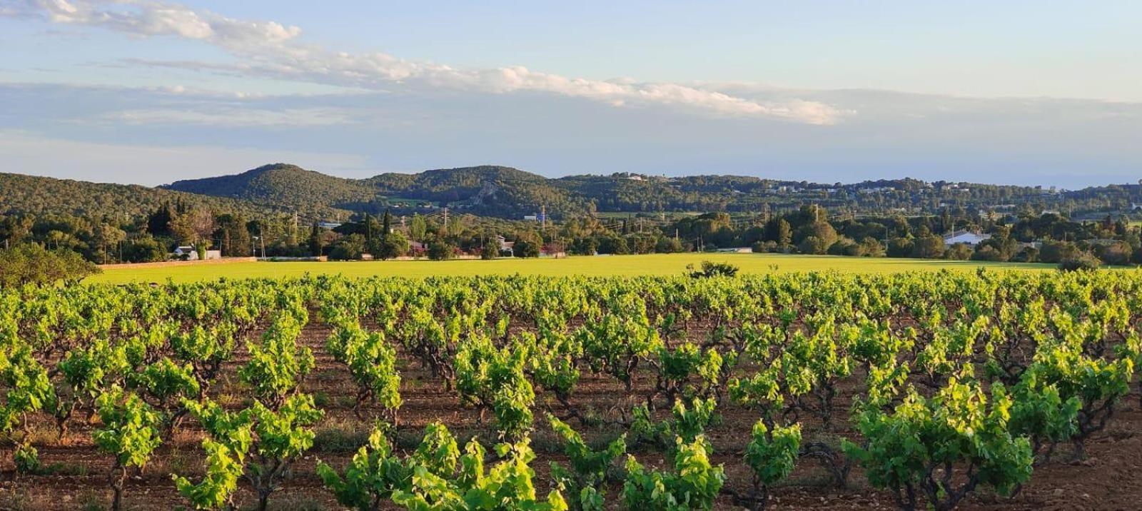 Lägenhet Anima Del Garraf