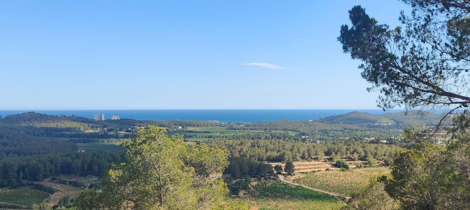 Anima Del Garraf *