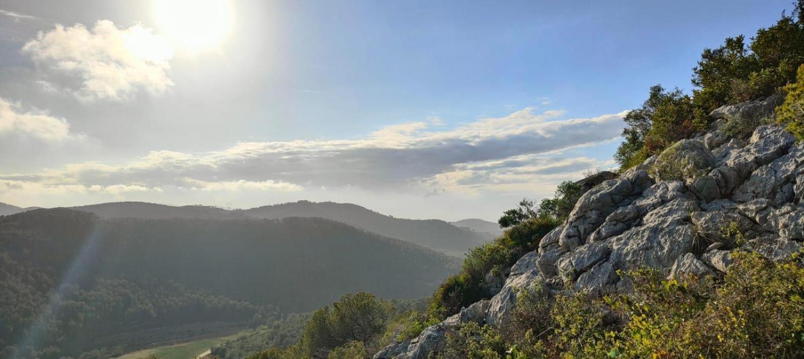 Anima Del Garraf *